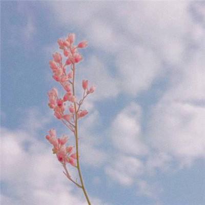 星辰传说破解版下载